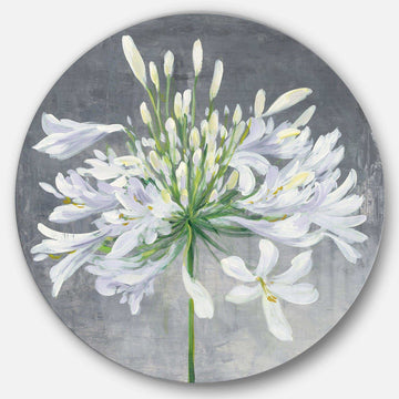 Flower Cleome Splash I - Cottage Circle Metal Wall Decor